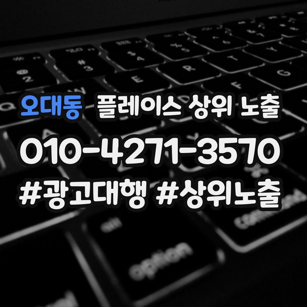 오대동 플레이스 상위 노출