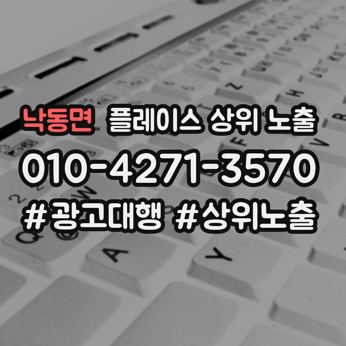 낙동면 플레이스 상위 노출
