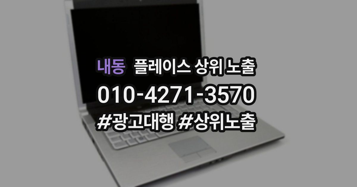 내동 플레이스 상위 노출