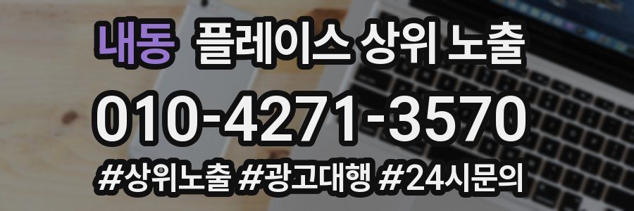 내동 플레이스 상위 노출
