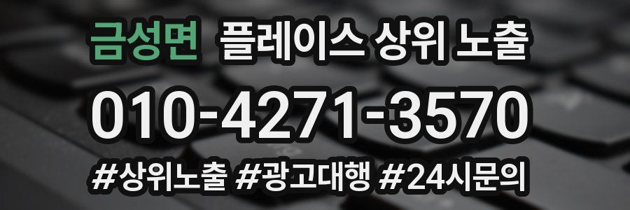 금성면 플레이스 상위 노출