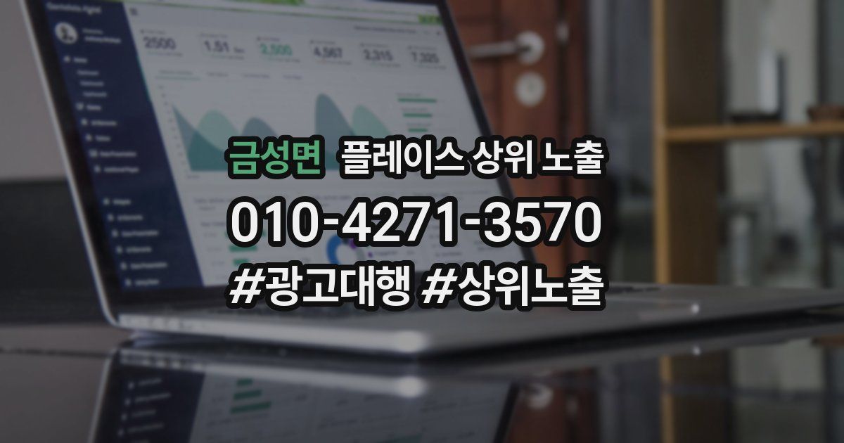 금성면 플레이스 상위 노출