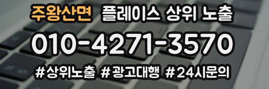 주왕산면 플레이스 상위 노출