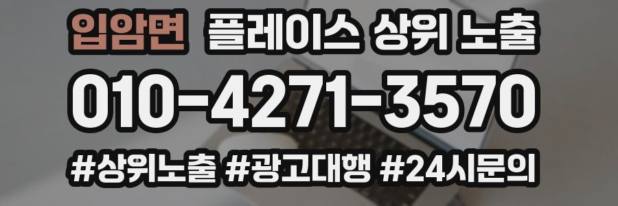 입암면 플레이스 상위 노출