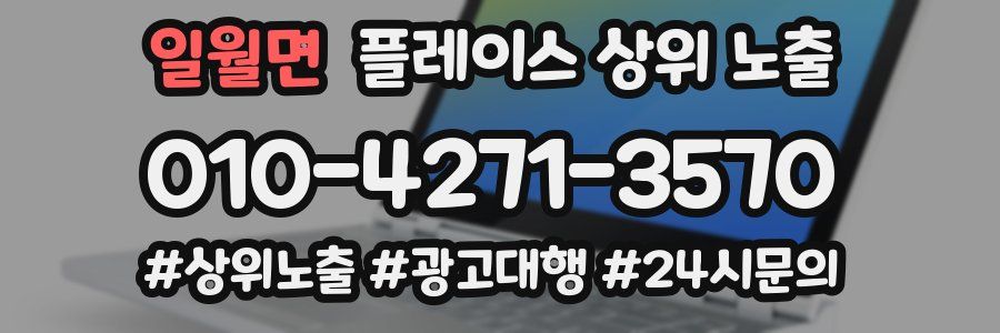 일월면 플레이스 상위 노출