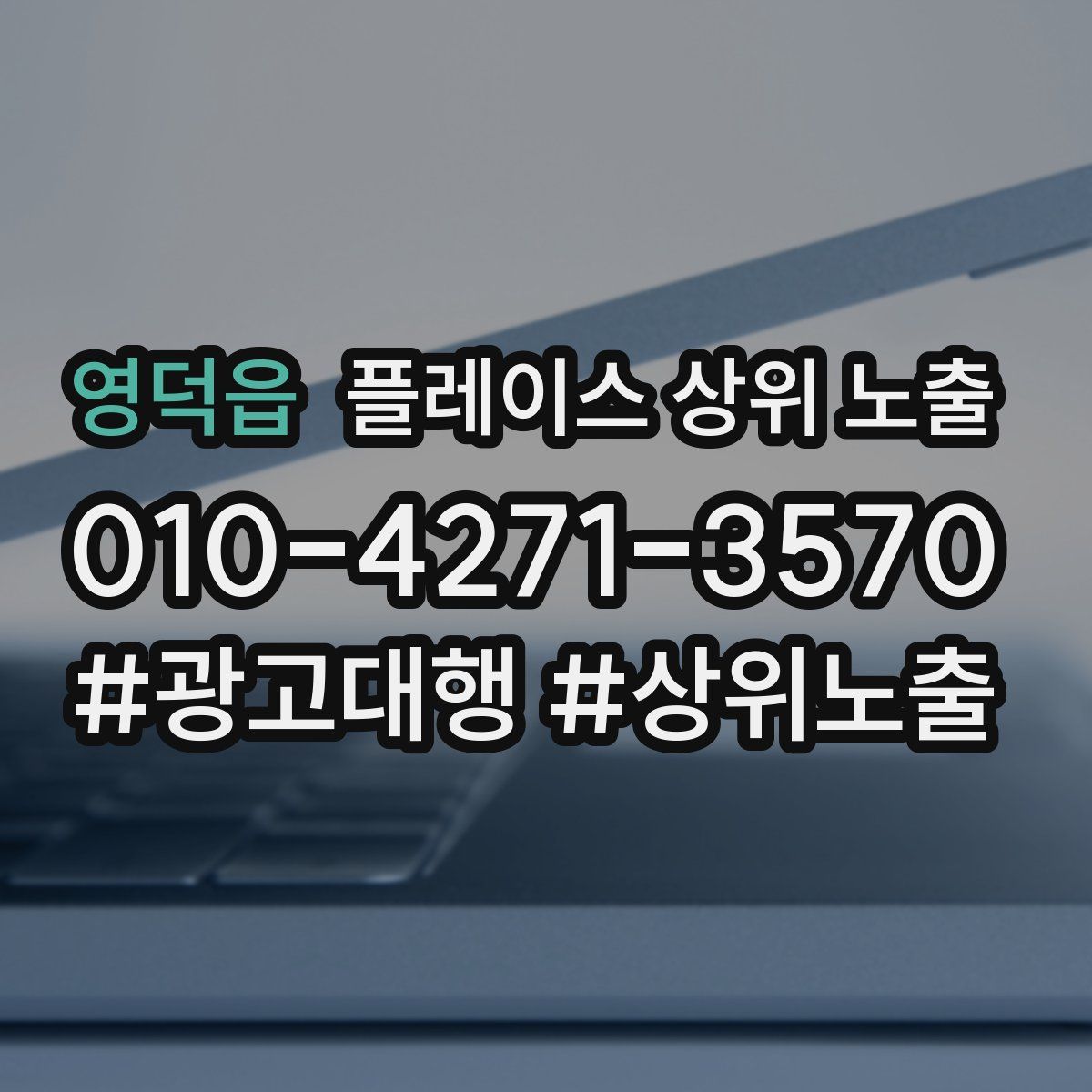 영덕읍 플레이스 상위 노출