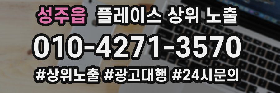 성주읍 플레이스 상위 노출