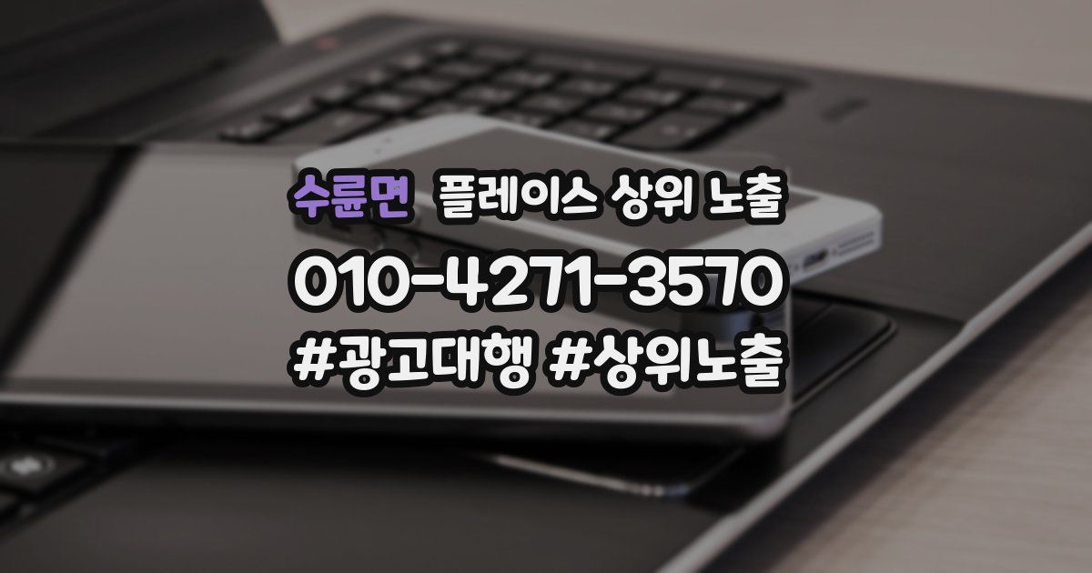 수륜면 플레이스 상위 노출