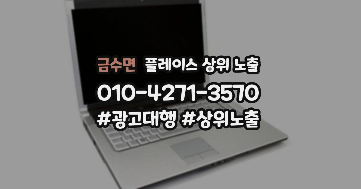 금수면 플레이스 상위 노출