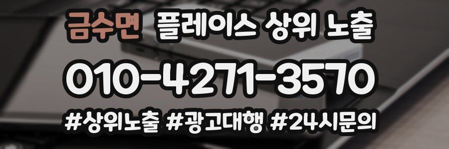 금수면 플레이스 상위 노출