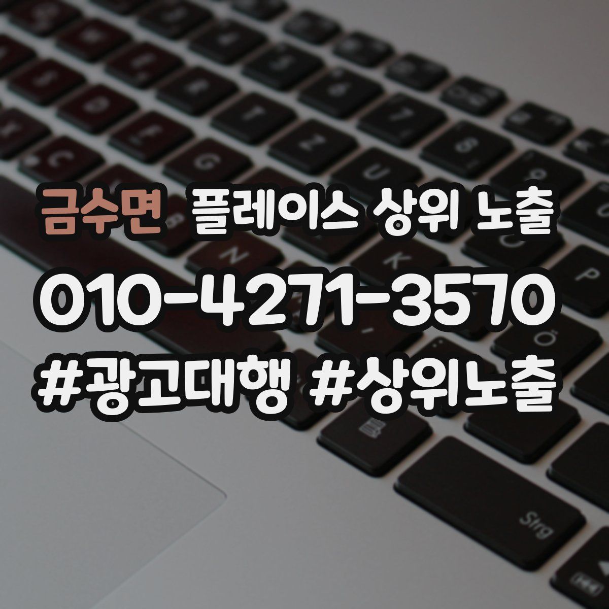 금수면 플레이스 상위 노출
