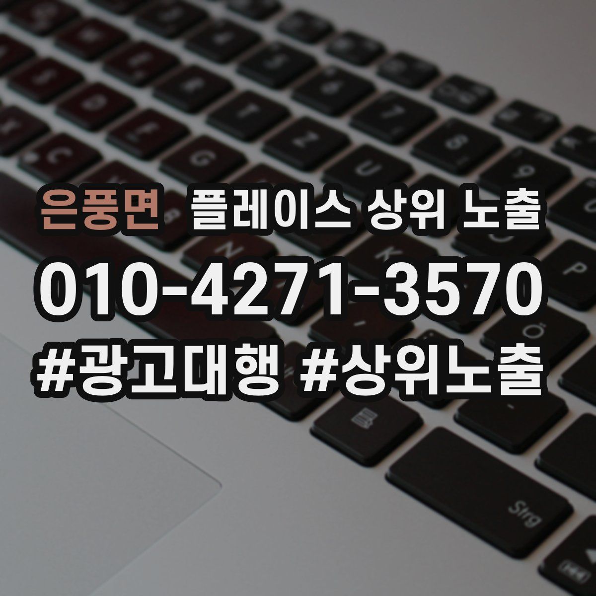 은풍면 플레이스 상위 노출