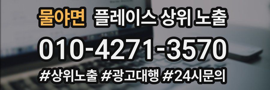물야면 플레이스 상위 노출