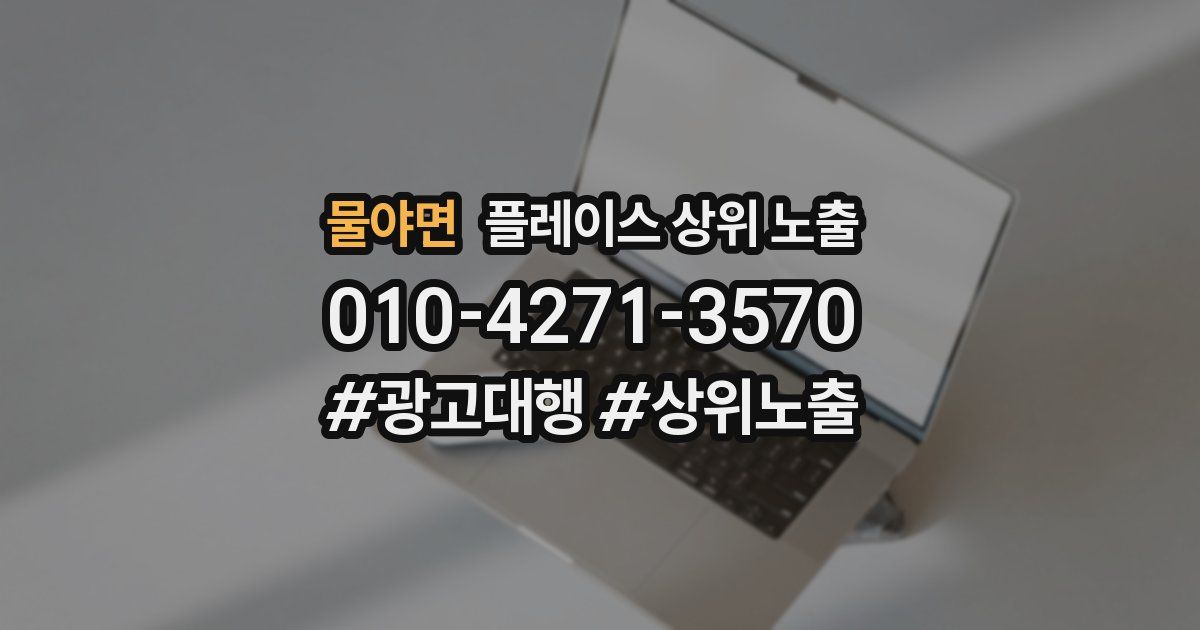 물야면 플레이스 상위 노출