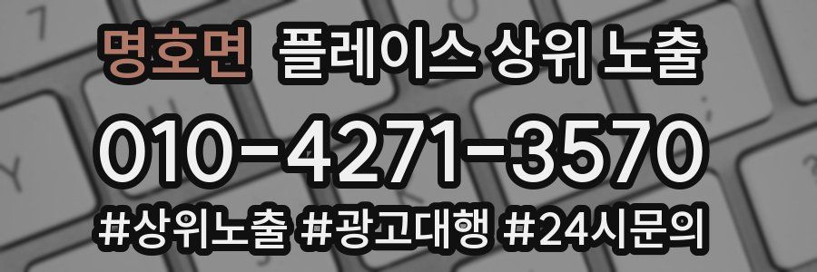 명호면 플레이스 상위 노출