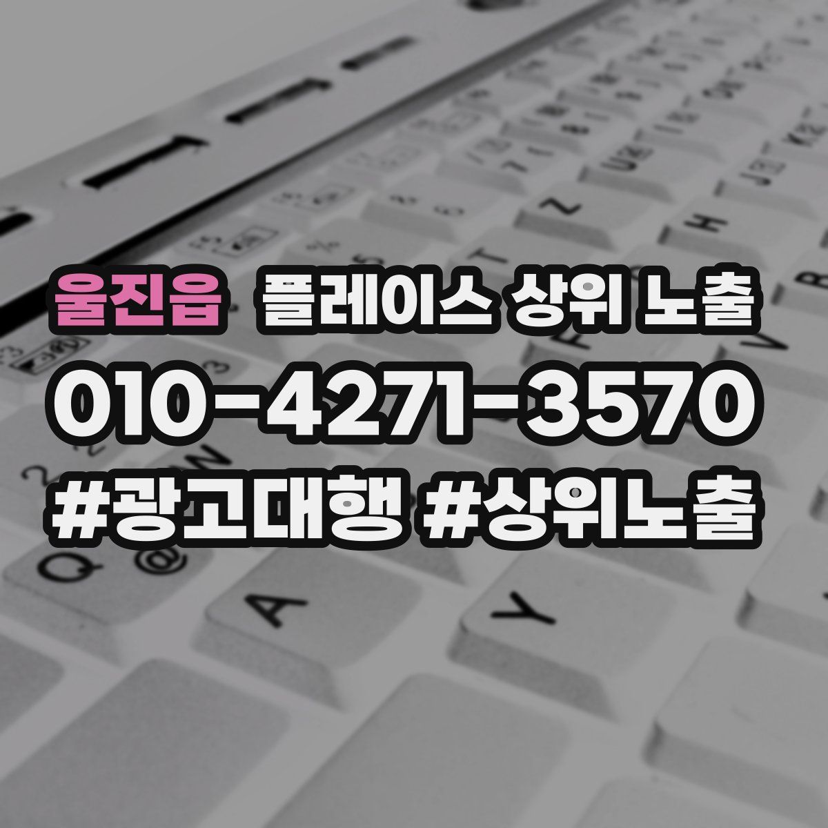 울진읍 플레이스 상위 노출