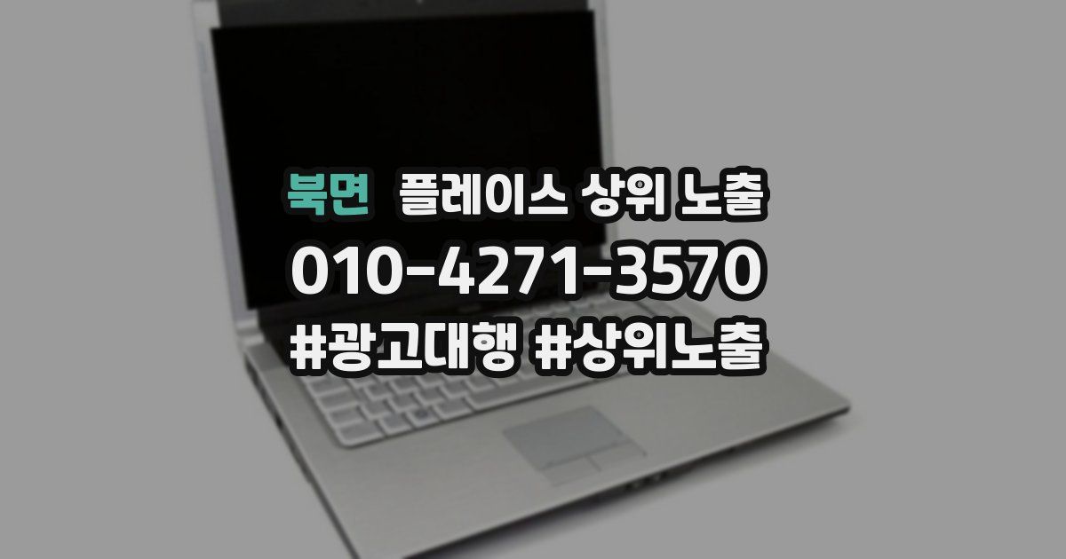 북면 플레이스 상위 노출