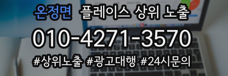 온정면 플레이스 상위 노출
