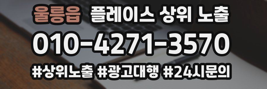울릉읍 플레이스 상위 노출