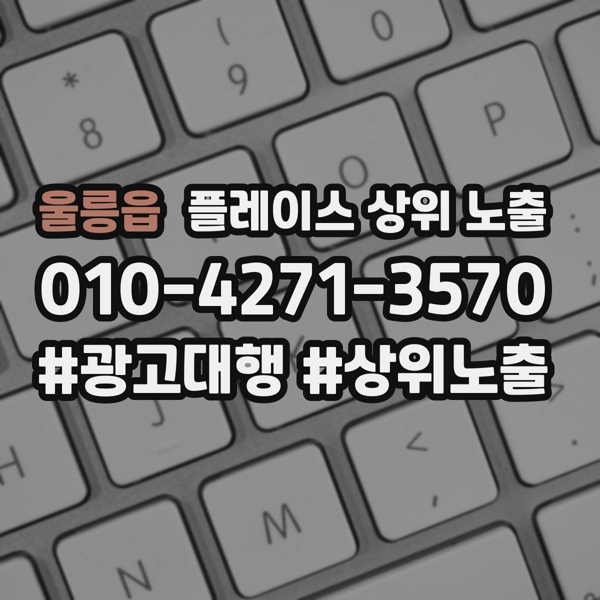 울릉읍 플레이스 상위 노출