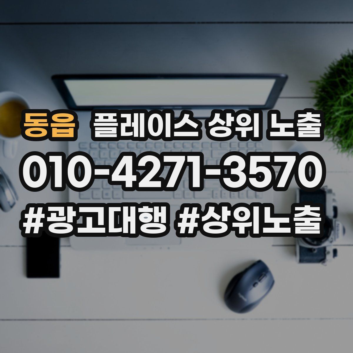 동읍 플레이스 상위 노출