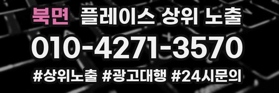 북면 플레이스 상위 노출