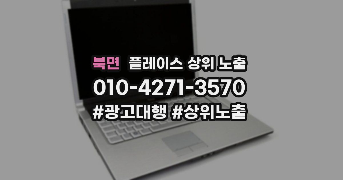 북면 플레이스 상위 노출