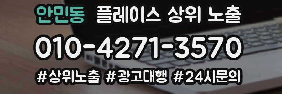 안민동 플레이스 상위 노출