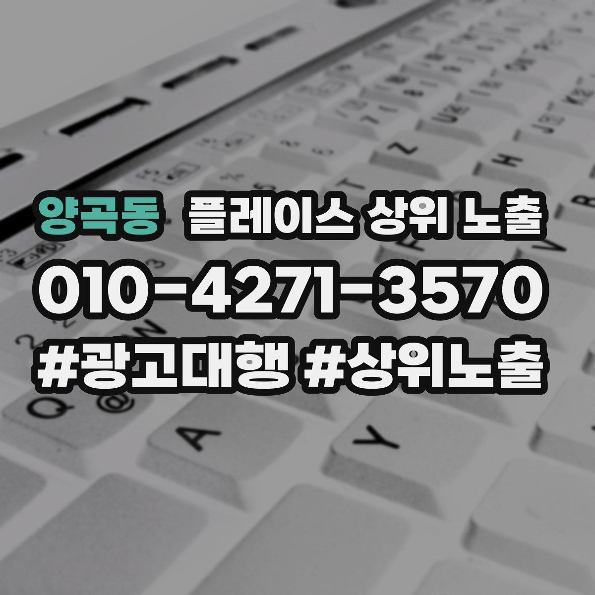 양곡동 플레이스 상위 노출 당일 예약 가능 여부를 명확히 쓰는 방법