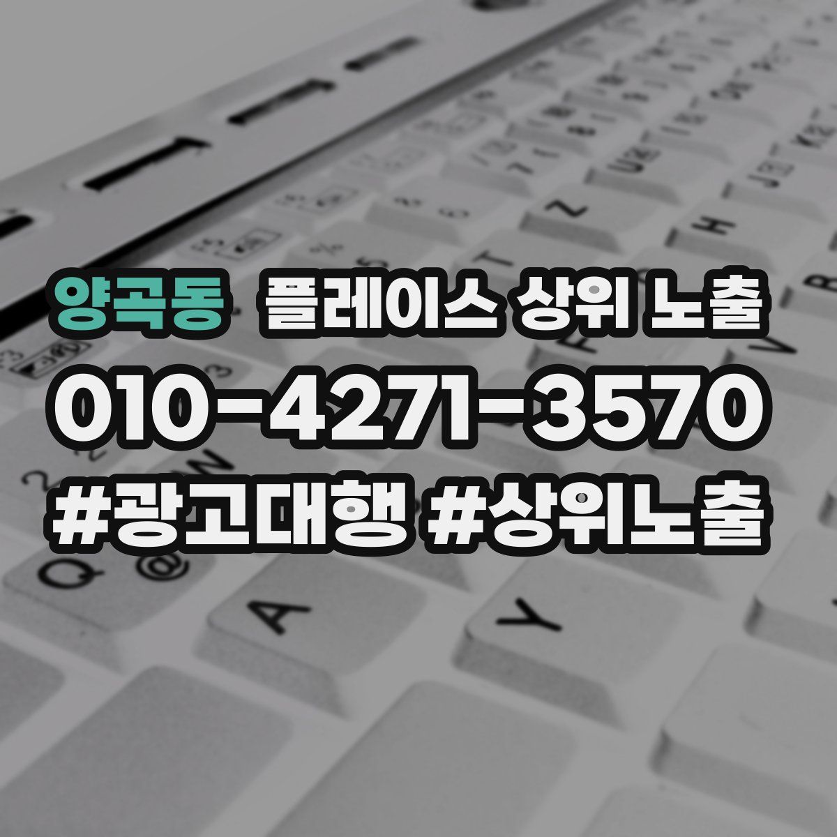 양곡동 플레이스 상위 노출
