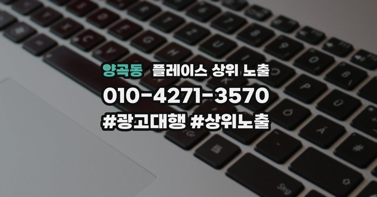 양곡동 플레이스 상위 노출