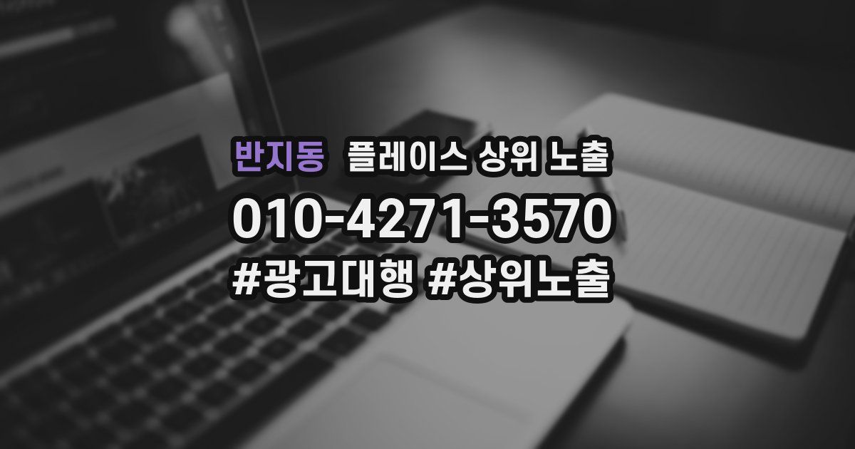 반지동 플레이스 상위 노출