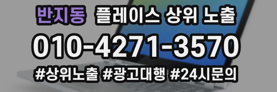 반지동 플레이스 상위 노출