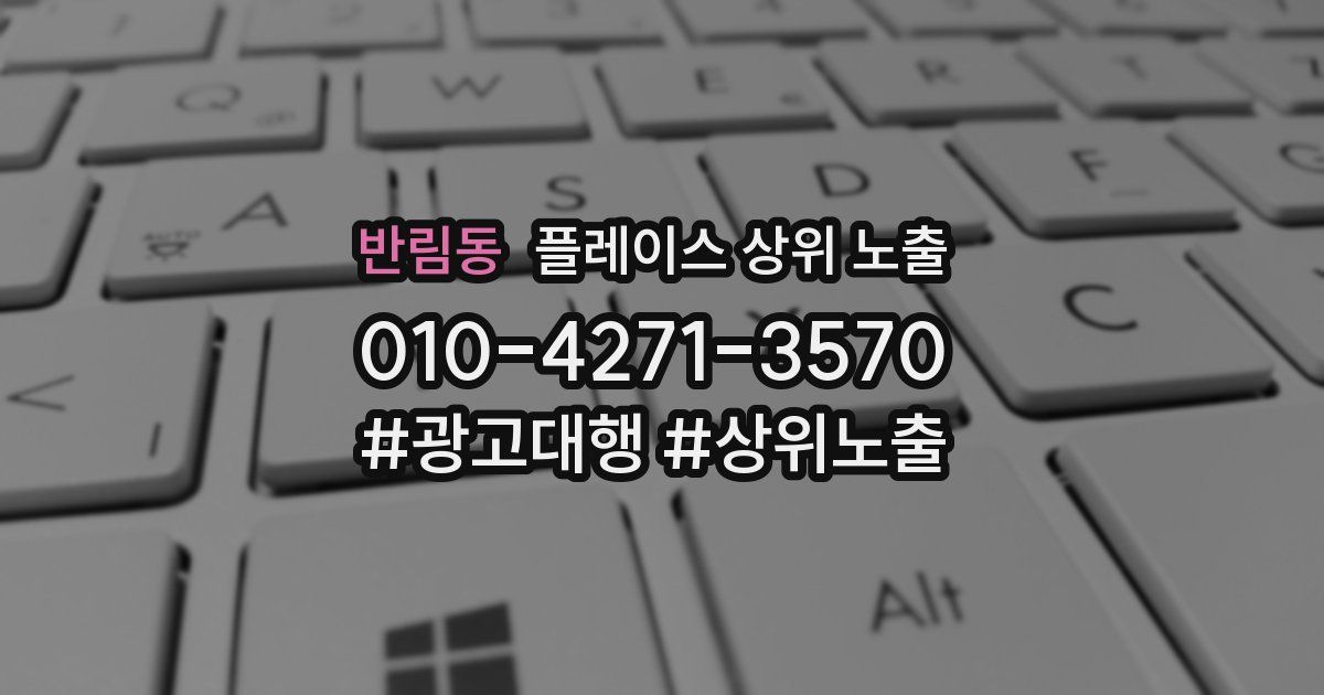 반림동 플레이스 상위 노출