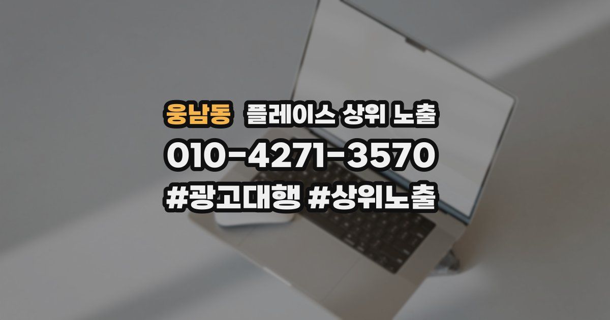 웅남동 플레이스 상위 노출