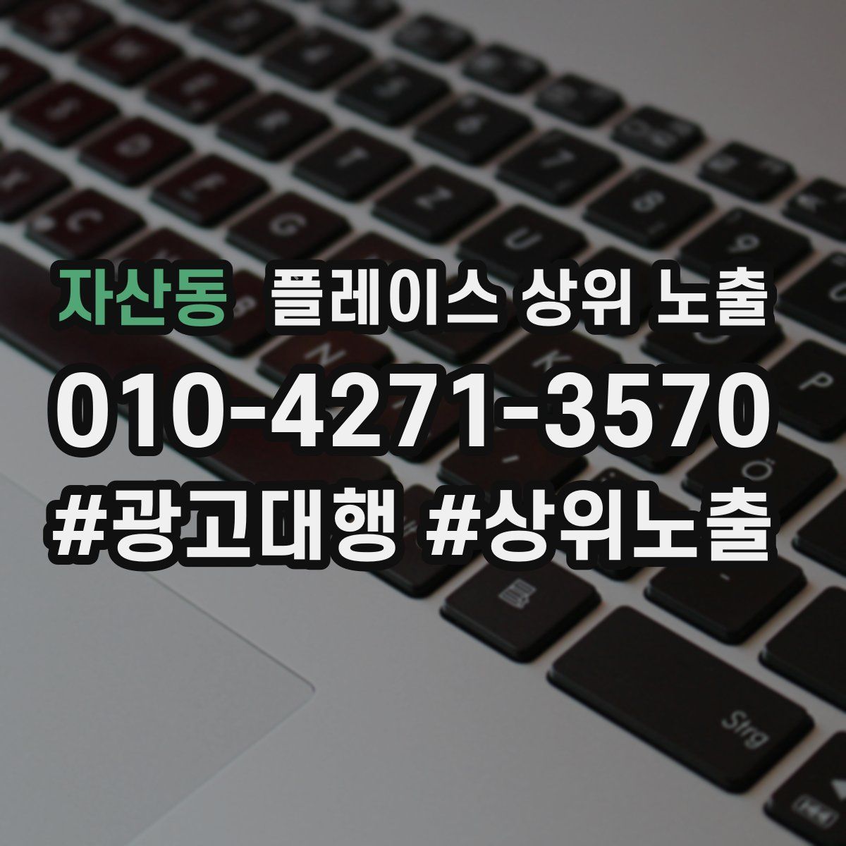 자산동 플레이스 상위 노출