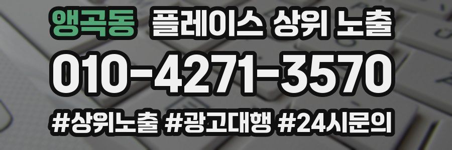 앵곡동 플레이스 상위 노출