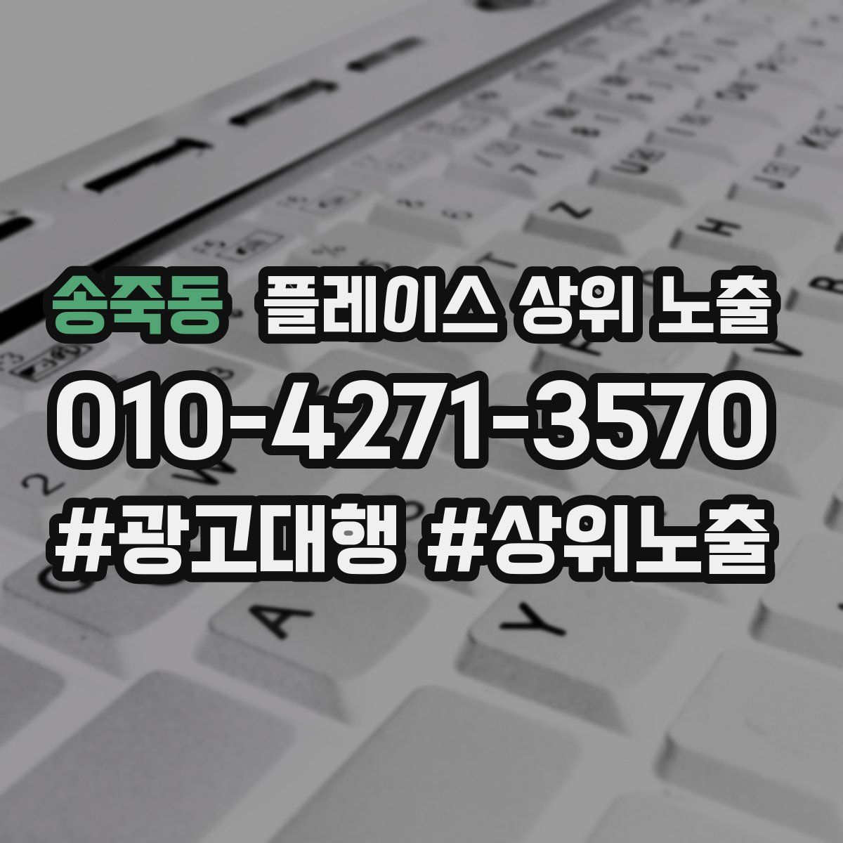 송죽동 플레이스 상위 노출