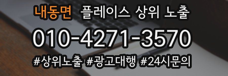 내동면 플레이스 상위 노출