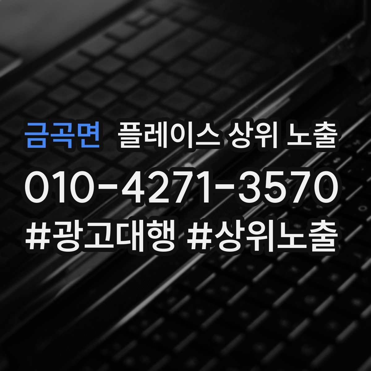 금곡면 플레이스 상위 노출