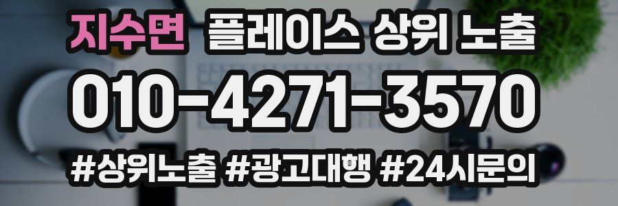 지수면 플레이스 상위 노출