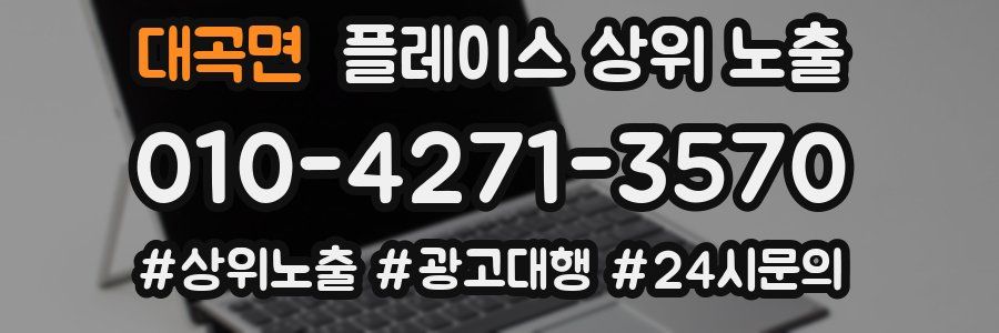 대곡면 플레이스 상위 노출