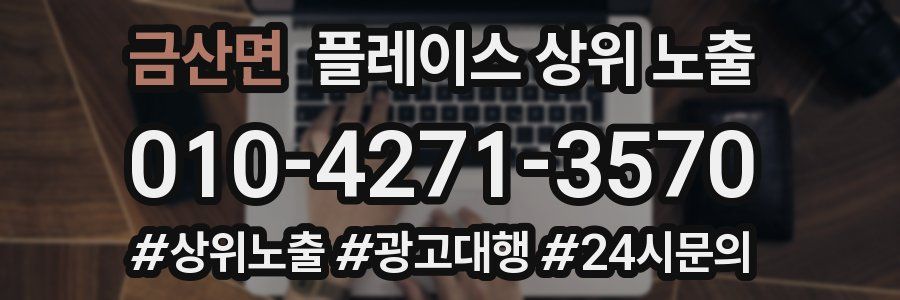 금산면 플레이스 상위 노출