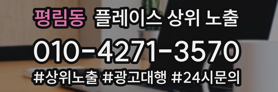 평림동 플레이스 상위 노출