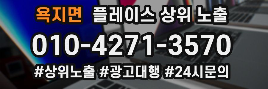 욕지면 플레이스 상위 노출