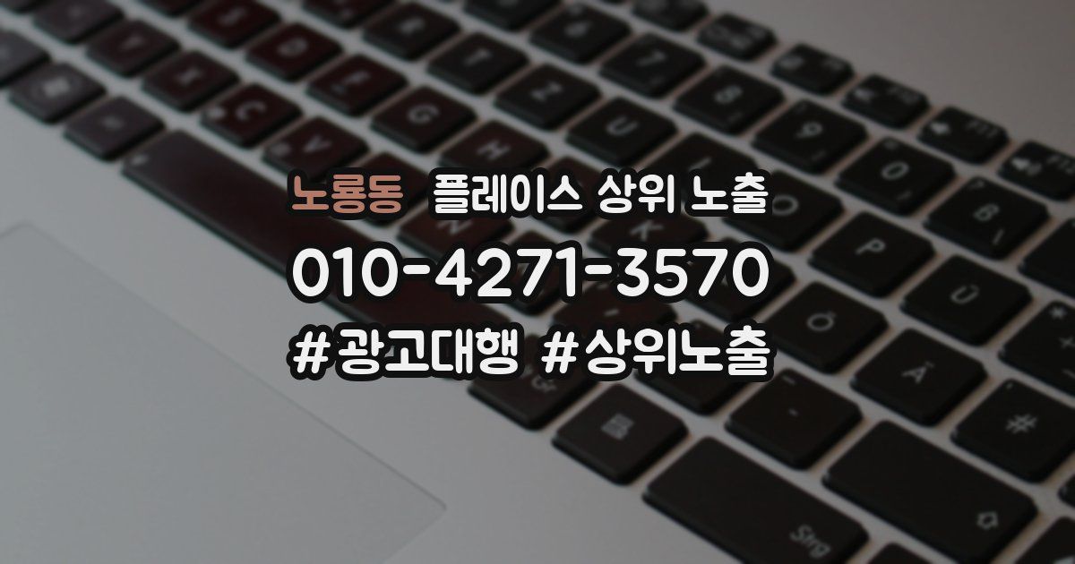 노룡동 플레이스 상위 노출