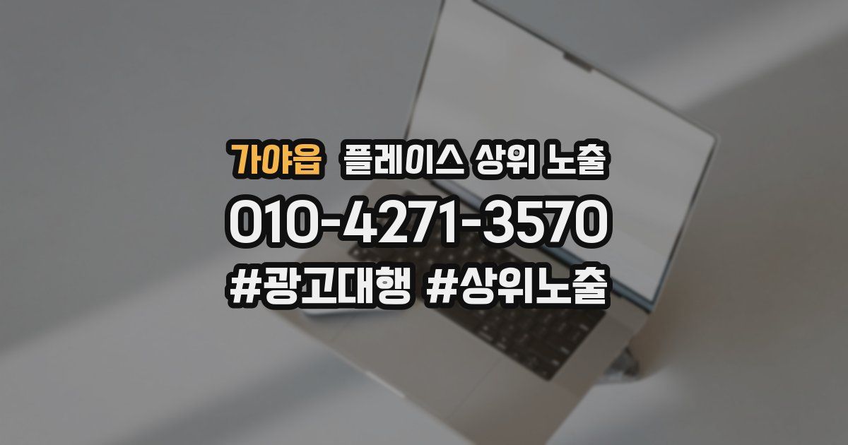 가야읍 플레이스 상위 노출