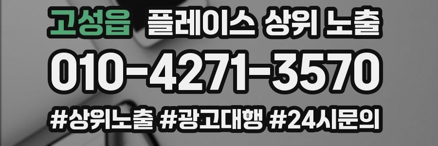 고성읍 플레이스 상위 노출