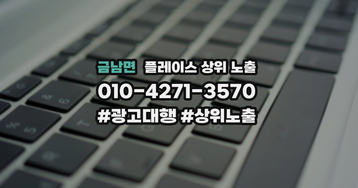 금남면 플레이스 상위 노출