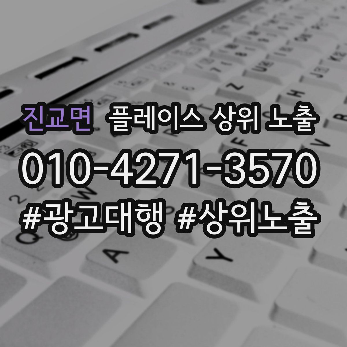 진교면 플레이스 상위 노출